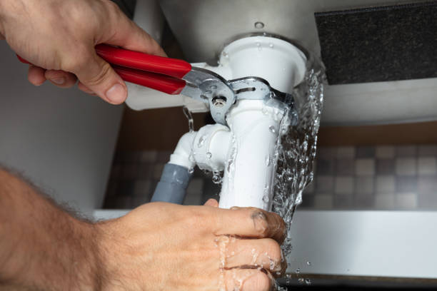 Best Flooded house restoration  in Los Lunas, NM