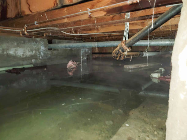 Best 24/7 water damage repair  in Los Lunas, NM