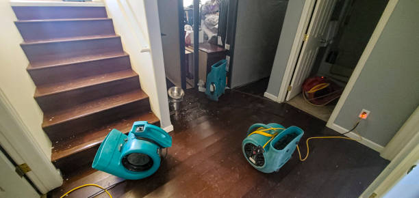 Best Local water damage restoration  in Los Lunas, NM