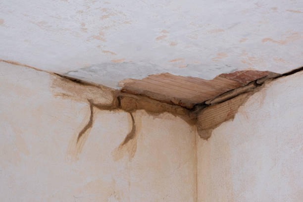 Best 24-hour water damage restoration  in Los Lunas, NM
