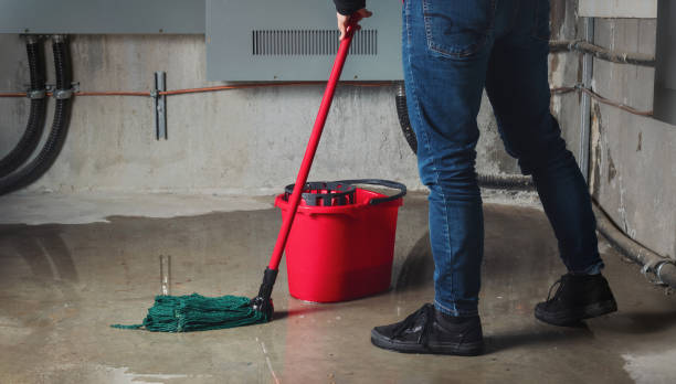 Best Flood damage cleanup  in Los Lunas, NM