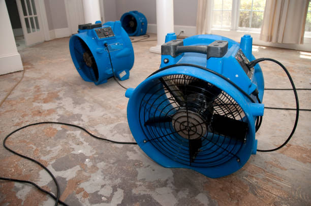 Best Residential water damage restoration  in Los Lunas, NM