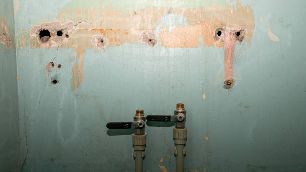 Best Sewage cleanup and water damage restoration  in Los Lunas, NM