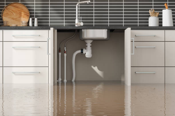 Water damage restoration experts in Los Lunas, NM